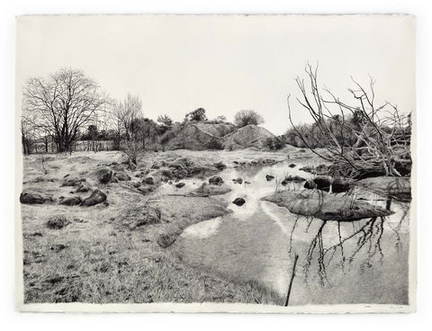 EXHIBITION: LILY MAE MARTIN: OVERBURDEN - Local Tourism 3