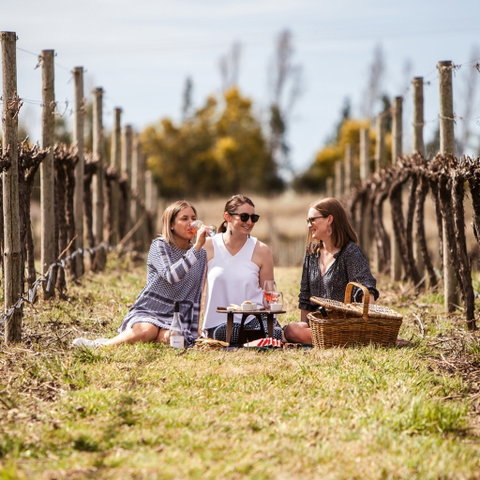 Family Picnic Weekend - Accommodation Australia 0