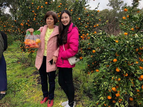 Fruit Taste Adventure Tours - Accommodation Australia 0