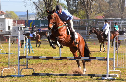 Glen Innes Pastoral And Agricultural Show - Local Tourism 0