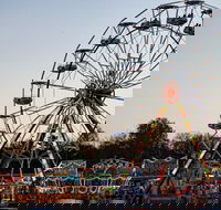 Grafton Show - Accommodation Australia