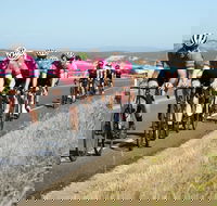 Great Ocean  Otway Classic Ride - Local Tourism