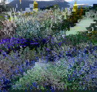 Highfield Gardens - Australia Shopping