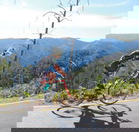 High Country Women's Cycling Festival - Local Tourism