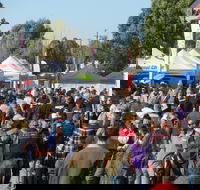 Hunter Valley Caravan Camping 4WD Fish and Boat Show - Accommodation Australia