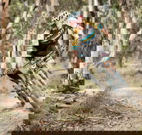 Jetblack 24 Hour - Local Tourism