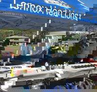 Lennox Community Markets - Accommodation Australia