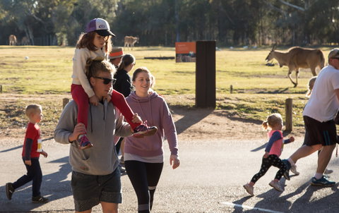 MAAS Group Dubbo Stampede Running Festival - Australia Shopping 1