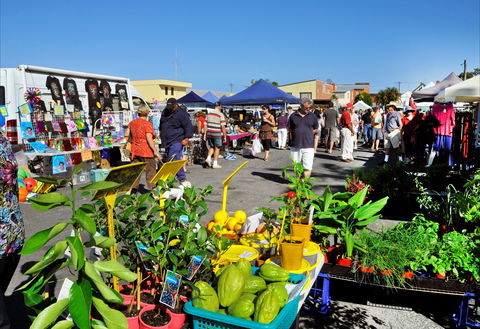 Maclean Macmarket Day - Local Tourism 0