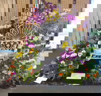 Orchids Out West - Local Tourism