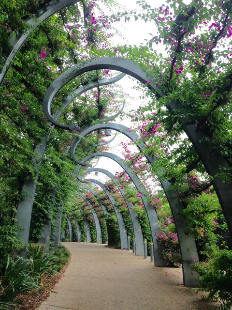 Photography Class / Tour Of Brisbane - Local Tourism 0