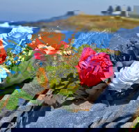 Roses by the Seaside National Rose Championships and Conference - Accommodation Australia
