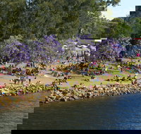 Shoalhaven River Festival - Australia Shopping