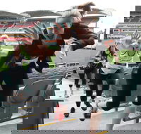 Stadium Stomp Adelaide Oval - Postponed - Accommodation Australia