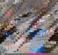 Summit Shoalhaven - Local Tourism