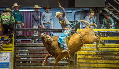 Top Gun And Young Gun Series Round 9 - Accommodation Australia 0