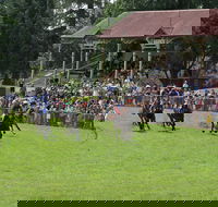Tumut Boxing Day Races - Accommodation Australia