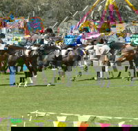 Wangaratta Show - Local Tourism