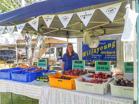 Young And Region Farmers Markets - Local Tourism 1