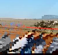 2020 Quorn Cup - Accommodation Australia