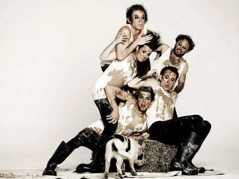 Animal Farm - Launceston - Local Tourism 0