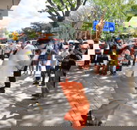 Australian National Busking Championships - Accommodation Australia