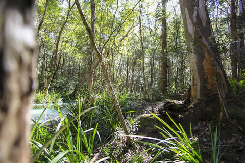 Bottlebutt Bash Trail Run - Accommodation Australia 0