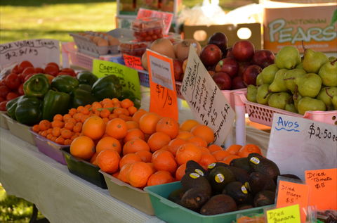 Centenary Park Charity Markets - Local Tourism 0