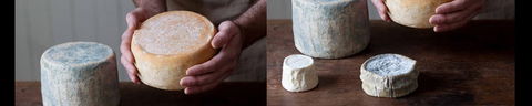 Cheese Making Basics Class - Local Tourism 0