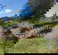 Conservation Volunteers Australia Townsville - Ocean View Nursery - Accommodation Australia
