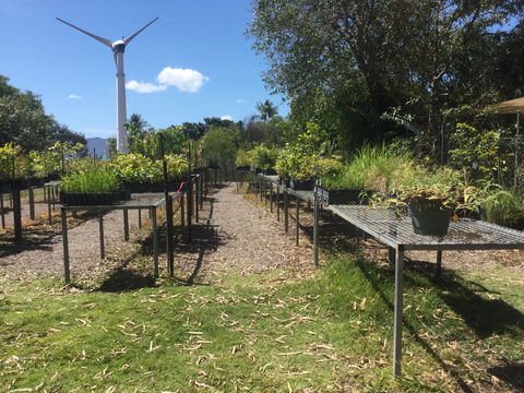 Conservation Volunteers Australia Townsville - Ocean View Nursery - Accommodation Australia 0