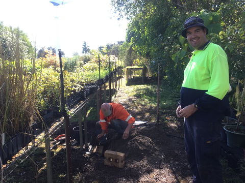 Conservation Volunteers Australia Townsville - Ocean View Nursery - Accommodation Australia 1