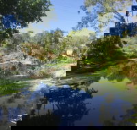 Conservation Volunteers Australia Townsville - Creekwatch - Accommodation Australia