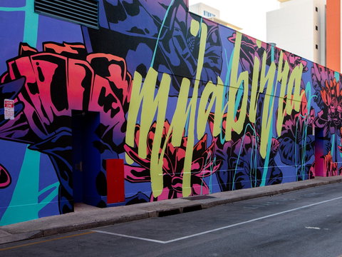 Darwin Street Art Festival - Bed n Breakfasts 1