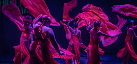 Darwin Fringe Festival - Local Tourism 1