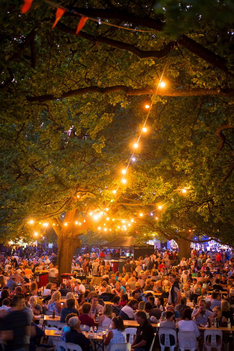 Festivale - Local Tourism 0