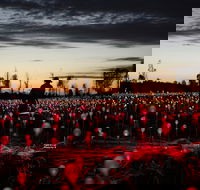 Field of Light Uluru - Local Tourism