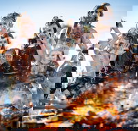 Fires in the Sky at Dindima - Australia Shopping