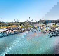 Fred Williams Aquatic Festival - Accommodation Australia