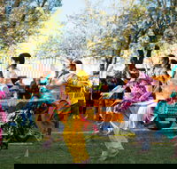 Griffith Spring Fest -  Multicultural Festival - Local Tourism
