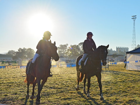 Gunnedah Showjumping Festival - Local Tourism 0