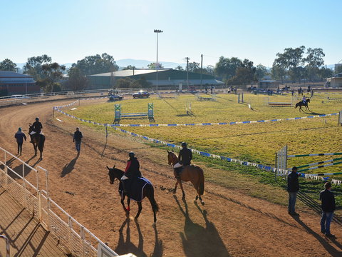 Gunnedah Showjumping Festival - Local Tourism 2