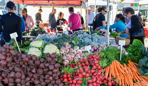 Harvest Launceston Community Farmers' Market - Local Tourism 2