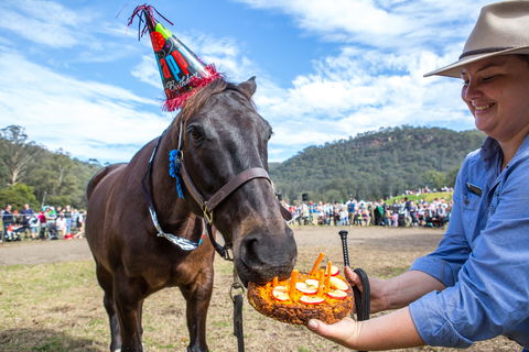 Horses Birthday Festival - Accommodation Australia 0
