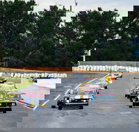 HSRCA Spring Festival - Australia Shopping