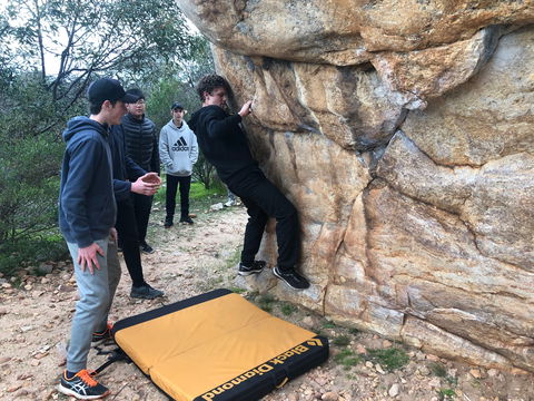 July 2020 Holidays- Forest Adventures Treasure Hunt - Accommodation Australia 1