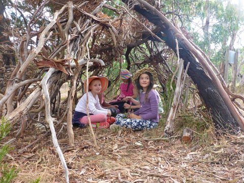 July 2020 Holidays- Forest Adventures Treasure Hunt - Accommodation Australia 2