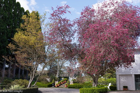 Leura Gardens Festival - Cancelled - Local Tourism 0