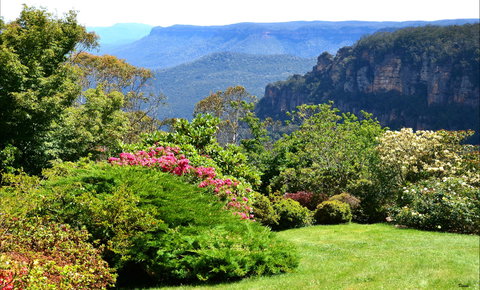 Leura Gardens Festival - Cancelled - Local Tourism 1