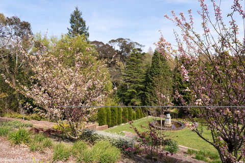 Leura Gardens Festival - Cancelled - Local Tourism 2